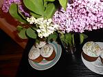     
: DSCN1715.jpg
: 20
:	152.5 
ID:	11119044