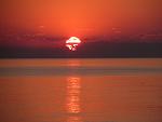     
: IMG_2165.jpg
: 39
:	68.5 
ID:	11119049