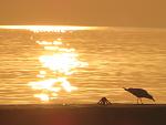     
: IMG_2214.jpg
: 39
:	72.8 
ID:	11119052