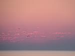     
: IMG_2108.jpg
: 44
:	35.2 
ID:	11119053