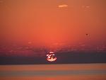     
: IMG_2155.jpg
: 36
:	40.9 
ID:	11119055