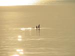     
: IMG_2231.jpg
: 40
:	84.4 
ID:	11119067