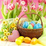     
: bf0fd135235c0d0f9054105f0716dc41.jpg
: 13
:	72.6 
ID:	11119141