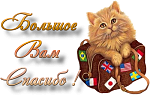     
: 78547387_78523373_2262.png
: 11
:	136.3 
ID:	11119224