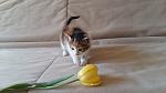     
: 20160501_120204.jpg
: 24
:	89.0 
ID:	11119336