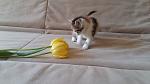     
: 20160501_120136.jpg
: 22
:	99.5 
ID:	11119337