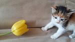     
: 20160501_120121.jpg
: 26
:	99.5 
ID:	11119338