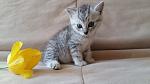     
: 20160501_120735.jpg
: 14
:	106.6 
ID:	11119647