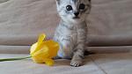     
: 20160501_120719.jpg
: 15
:	97.4 
ID:	11119655