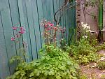    
: 030520164672.jpg
: 53
:	234.9 
ID:	11123915