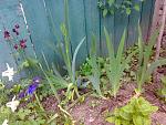     
: 030520164673.jpg
: 56
:	224.6 
ID:	11123921