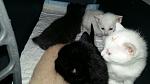     
: 20160503_195317.jpg
: 5
:	67.7 
ID:	11124547