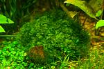     
: DSC_8372.jpg
: 15
:	103.9 
ID:	11127064