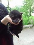     
: 13102626_887094161418127_1931595953333490911_n.jpg
: 36
:	104.6 
ID:	11128389