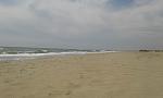     
: 20160503_123312.jpg
: 13
:	73.6 
ID:	11129522