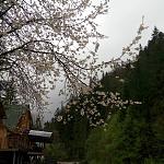     
: tZoX28T1R8U.jpg
: 21
:	201.6 
ID:	11132291