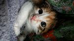     
: 20160506_151607.jpg
: 5
:	90.3 
ID:	11136115