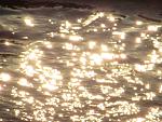     
: IMG_2689.jpg
: 45
:	130.6 
ID:	11137850