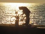     
: IMG_2683.jpg
: 48
:	185.0 
ID:	11137859