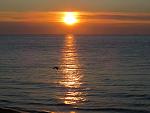     
: IMG_2605.jpg
: 55
:	137.0 
ID:	11137865