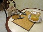     
: !!IMG_3641.jpg
: 217
:	258.4 
ID:	11139759