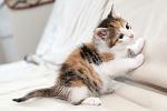     
: 9to4Vh_dtjrJcw7wPa_ehlBDq1xtIhpRH7y_qDoar_U.jpg
: 21
:	54.9 
ID:	11141103