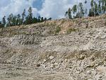     
: IMG_1227.jpg
: 36
:	294.1 
ID:	1114168