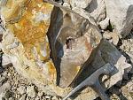     
: IMG_1230.jpg
: 45
:	227.4 
ID:	1114172