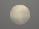    
: IMG_3066.jpg
: 39
:	60.1 
ID:	11142601