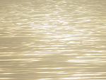     
: IMG_3100.jpg
: 27
:	116.8 
ID:	11142602