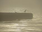    
: IMG_3086.jpg
: 30
:	82.0 
ID:	11142604