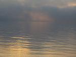     
: IMG_3012.jpg
: 29
:	95.9 
ID:	11142610