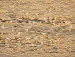     
: IMG_3016.jpg
: 29
:	121.9 
ID:	11142626