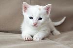     
: yPxQyVdz0UekAouCrqExq8s8wnl8XQatlAi87iQvlQk.jpg
: 4
:	43.4 
ID:	11144729