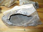     
: IMG_1372.jpg
: 41
:	159.5 
ID:	1114582