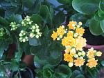     
: IMG_6106.jpg
: 11
:	123.6 
ID:	11146289