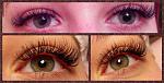     
: XfLLMxvo810.jpg
: 19
:	64.1 
ID:	11146490