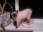     
: 10.05.10 3.jpg
: 27
:	108.6 
ID:	1114654