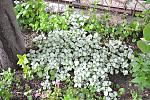     
: DSC_0054.jpg
: 204
:	262.0 
ID:	11147518