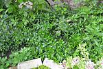     
: DSC_0049.jpg
: 154
:	259.8 
ID:	11147520