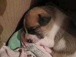     
: IMG_0493.jpg
: 17
:	113.6 
ID:	11150848
