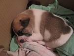     
: IMG_0492.jpg
: 17
:	117.0 
ID:	11150850