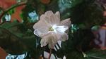     
: 20160512_013822.jpg
: 10
:	60.4 
ID:	11151498
