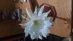     
: 20160512_012254.jpg
: 5
:	60.5 
ID:	11151499