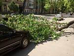     
: IMG_20160512_145213784.jpg
: 162
:	201.5 
ID:	11152772