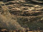     
: IMG_3216.jpg
: 29
:	264.8 
ID:	11154751