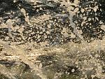     
: IMG_3218.jpg
: 30
:	303.5 
ID:	11154754
