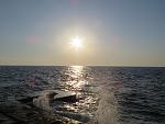     
: IMG_3320.jpg
: 35
:	127.0 
ID:	11154756