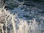     
: IMG_3312.jpg
: 29
:	240.3 
ID:	11154761
