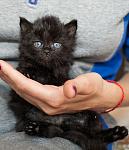     
: IMG_2509.jpg
: 18
:	73.7 
ID:	11156119
